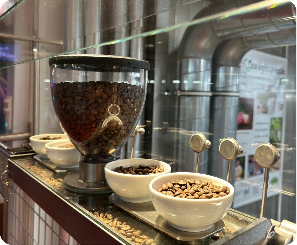 Bohnen und Probierstation hinter Glas in der Zotter Erlebniswelt, aufgenommen beim Onmind-Firmenausflug.